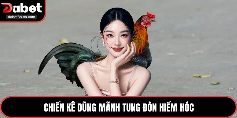 Chiến kê dũng mãnh tung đòn hiểm hóc