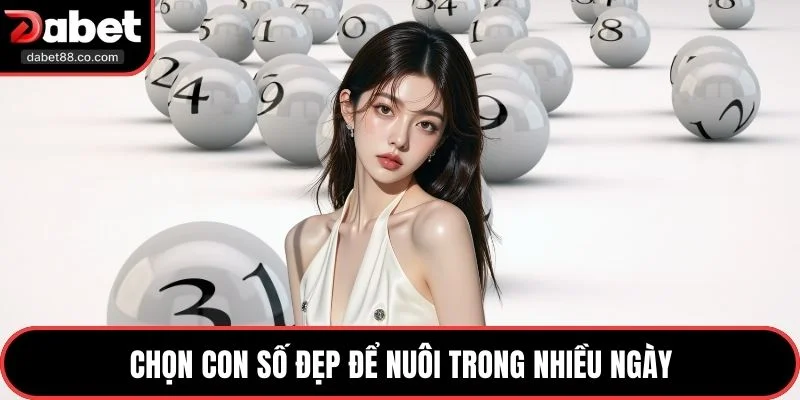 Chọn con số đẹp để nuôi trong nhiều ngày