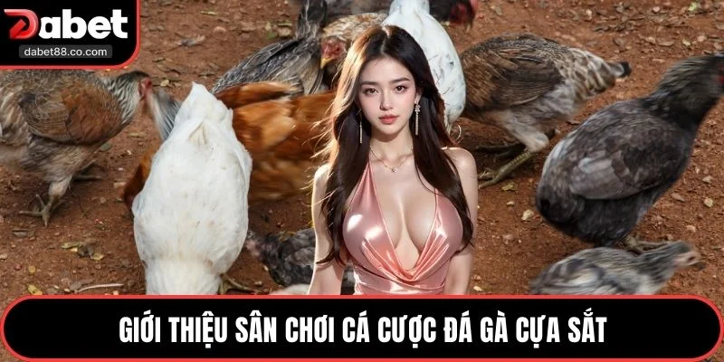 Giới thiệu sân chơi cá cược đá gà cựa sắt