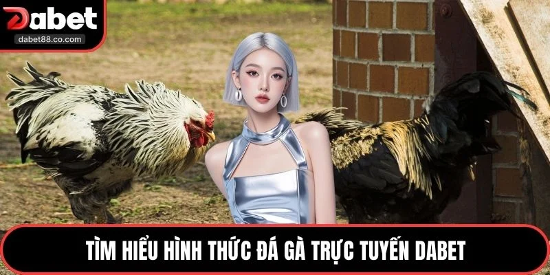 Tìm hiểu Hình Thức Đá Gà Trực Tuyến DABET