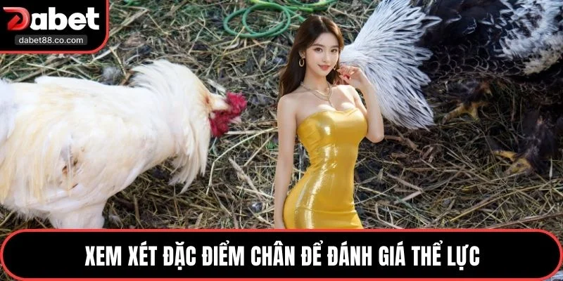 Xem xét đặc điểm chân để đánh giá thể lực